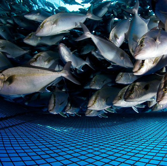 Aplikace generátoru kyslíku PSA